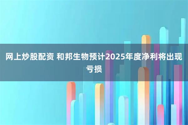 网上炒股配资 和邦生物预计2025年度净利将出现亏损